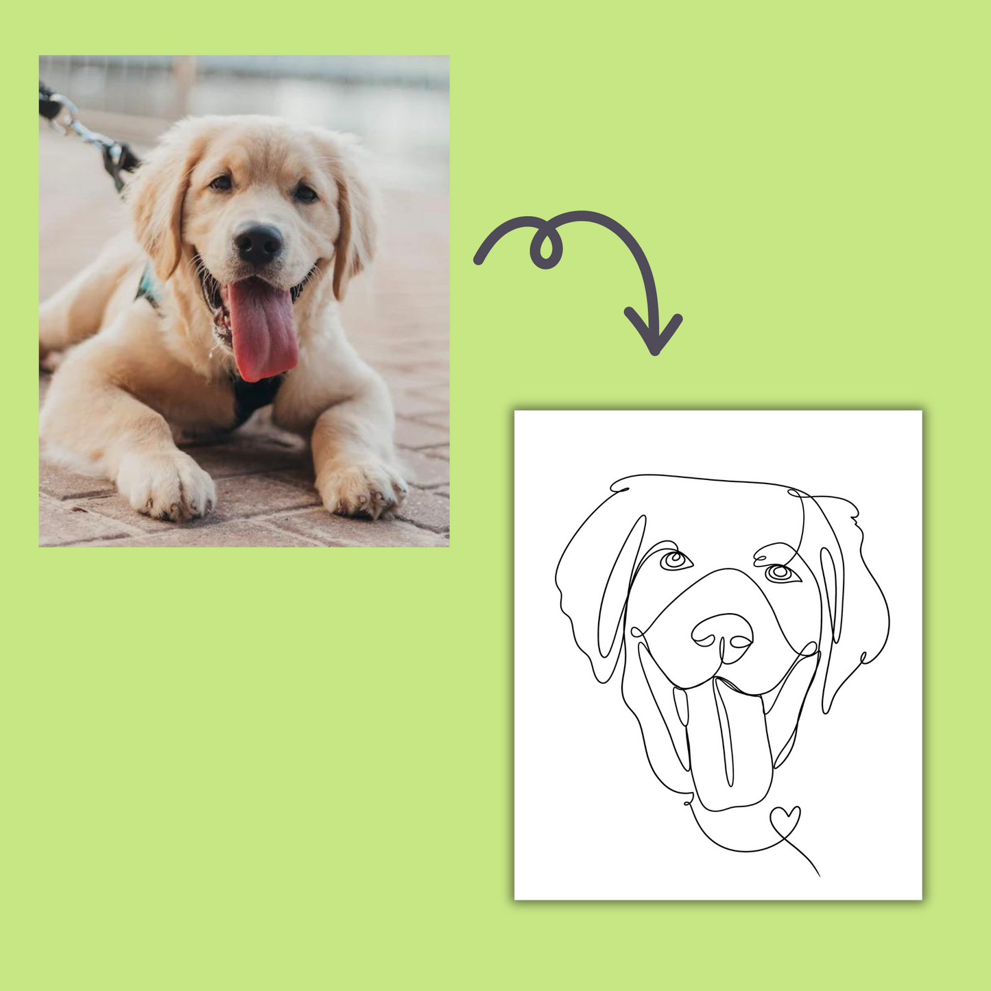 Custom One Line Pet Illustration