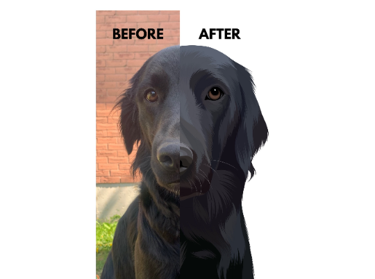 Detailed Custom Pet Illustration