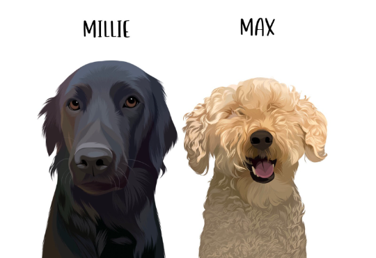 Detailed Custom Pet Illustration